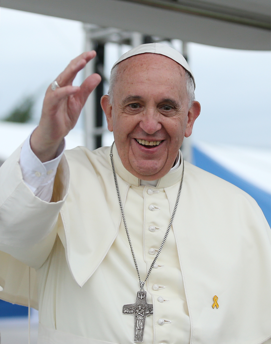Il mondo saluta un Papa di pace e cambiamento: Libri per conoscere Papa Francesco Il mondo saluta un Papa di pace e cambiamento: Libri per conoscere Papa Francesco