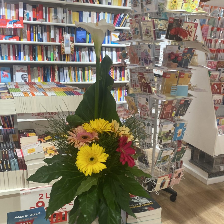 Galleria immagini Ubik