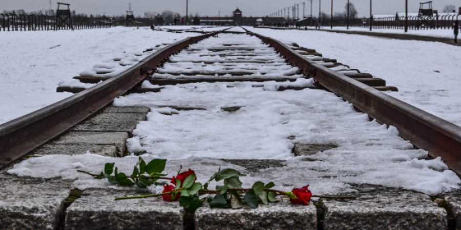 Giornata della Memoria 2026: i libri da leggere per ricordare la Shoah
