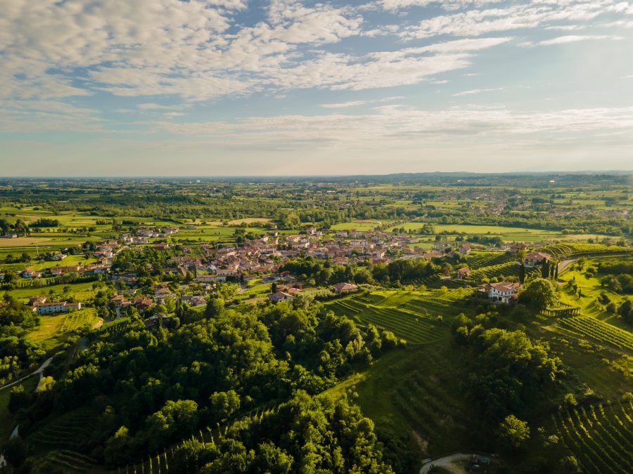 Veduta aerea di un piccolo paese immerso nel verde, circondato da campi coltivati e vigneti.