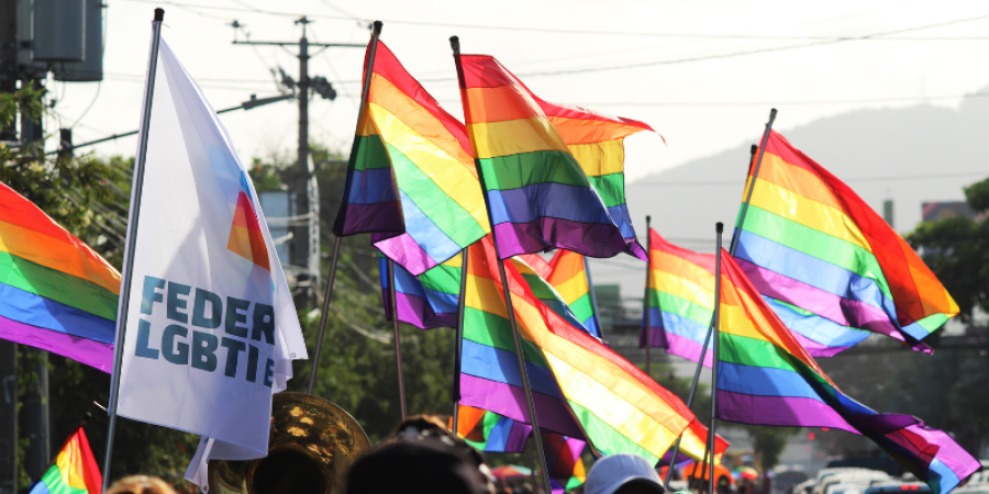 Bandiere LGBTQIA+