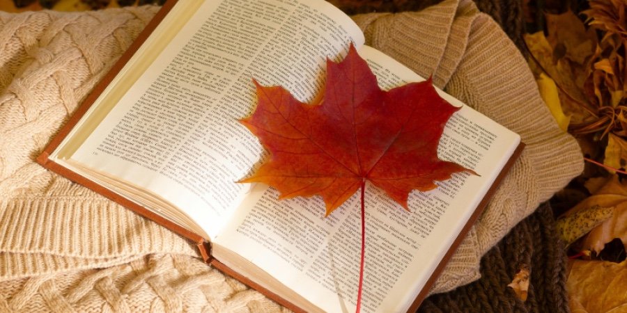 Libri da leggere in autunno: alcune letture perfette per la stagione