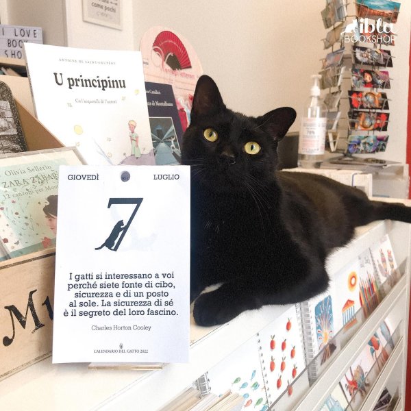 Galleria immagini Ubik