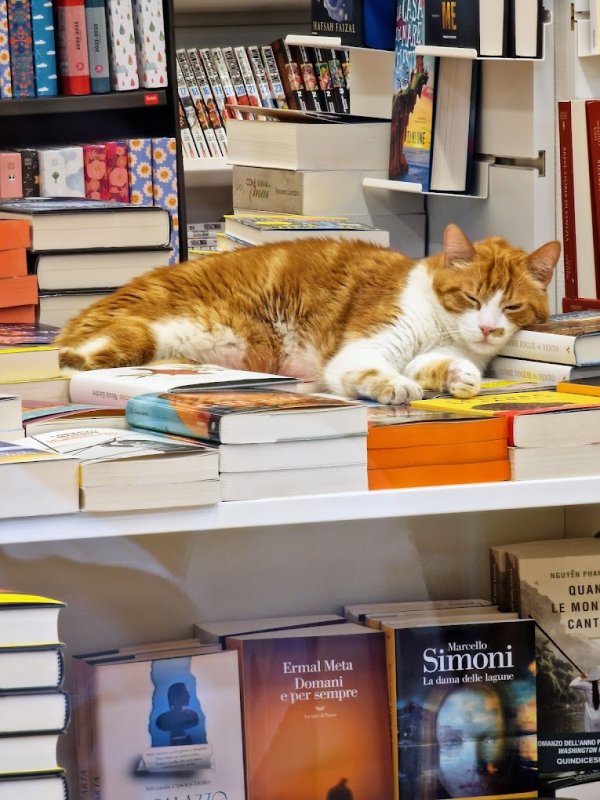 Galleria immagini Ubik