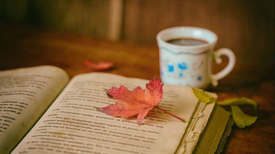 Letture dal sapore autunnale