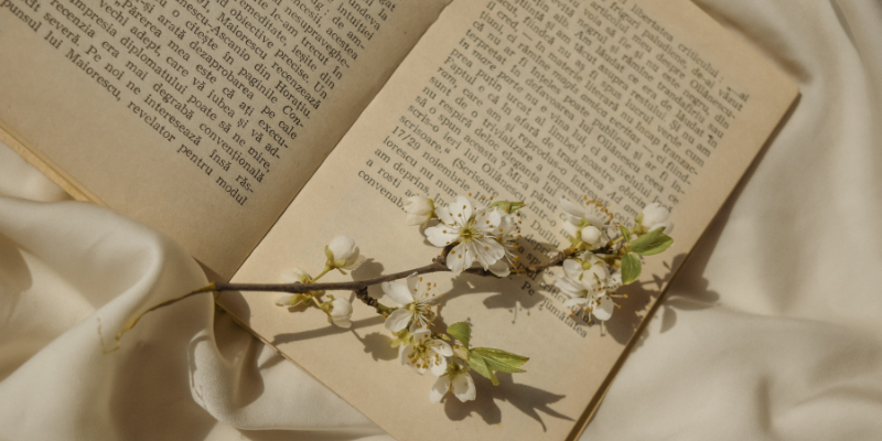 I sottogeneri del romance: dal romantasy al dark e paranormal romance I sottogeneri del romance: dal romantasy al dark e paranormal romance