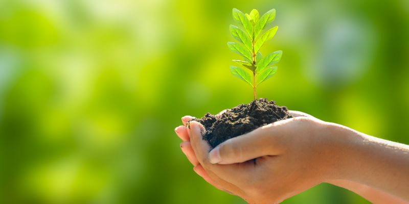 Giornata della Terra: dieci libri da leggere Giornata della Terra: dieci libri da leggere