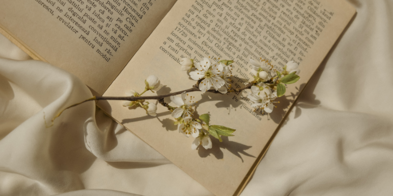Libri Romance e Fantasy: le novità più vendute e i trend del momento Libri Romance e Fantasy: le novità più vendute e i trend del momento